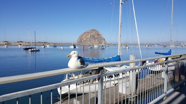 Morro Bay Aquarium and Gift Shop