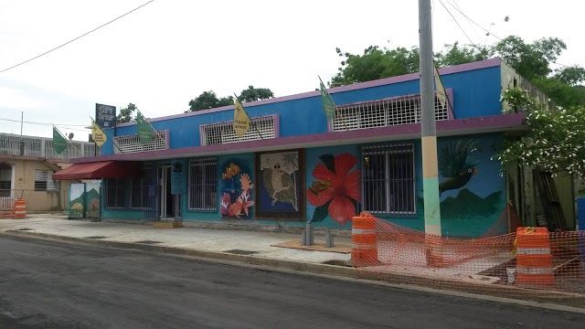 Coqui International