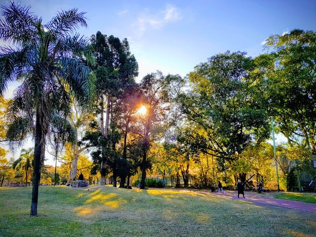 Saavedra Park