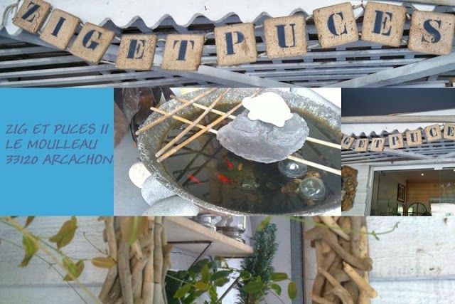 Zig et Puces II Le Moulleau