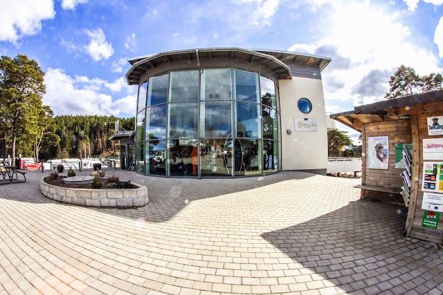 Hafsten Swecamp Resort