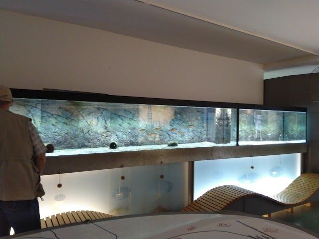 Dummer-Museum Lembruch