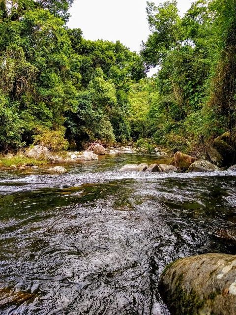 Parque Estadual Serra do Mar
