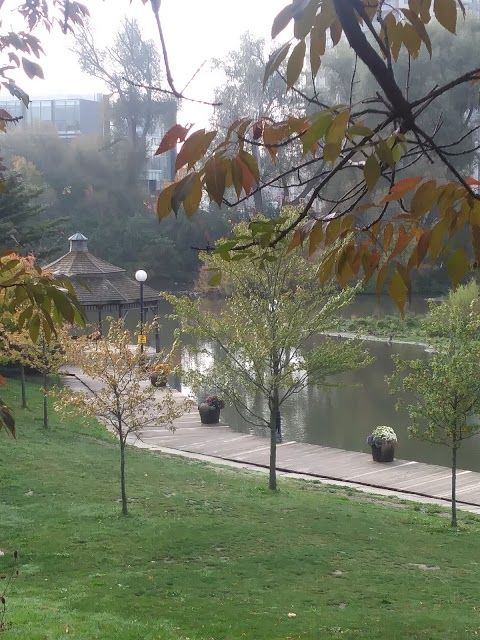 Waterloo Park East Gazebo