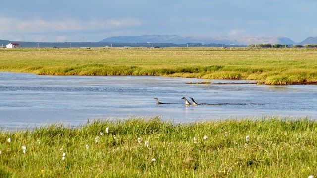 Floi Nature Reserve