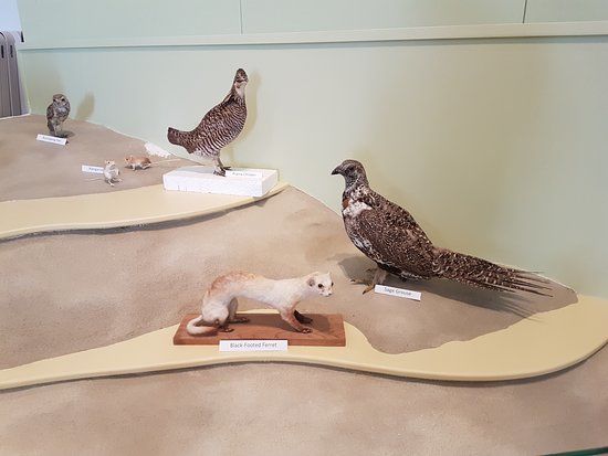 Swift Current Museum