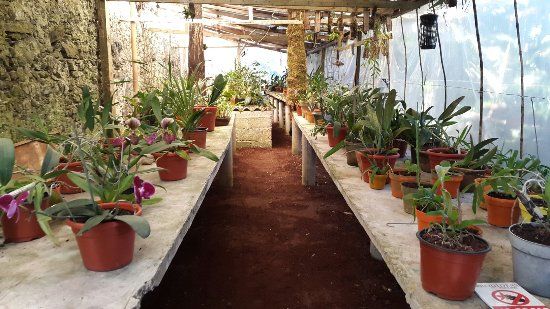 Museo y Jardin de Orquideas