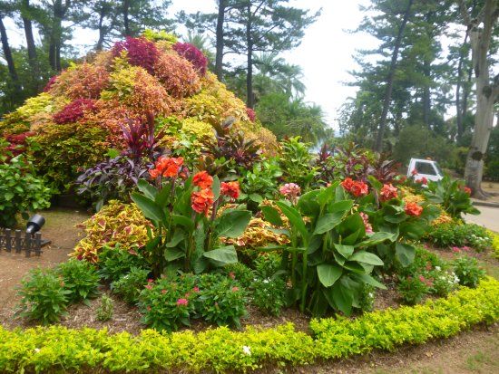 Miyakoh Botanic Garden Aoshima