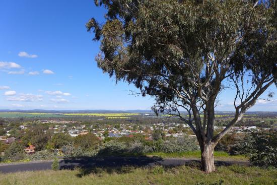 Memorial Hill Lookout