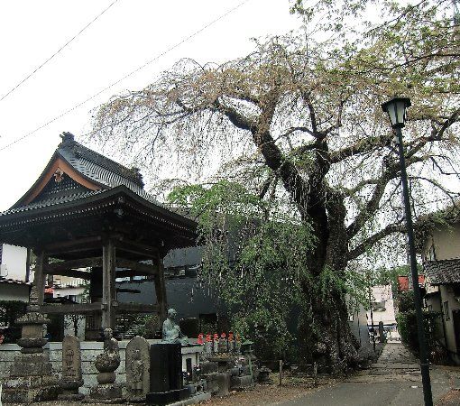 Jingu-ji Temple