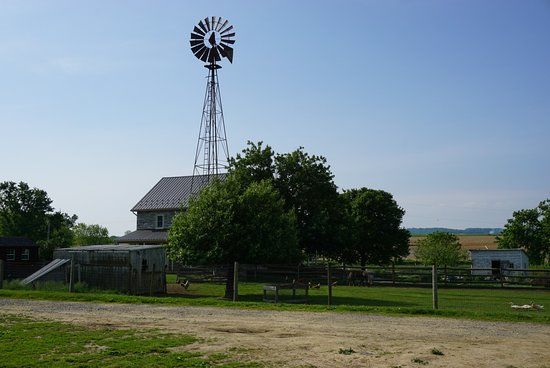 Old Windmill Farm