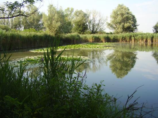 Riserva Naturale Gaggio Nord