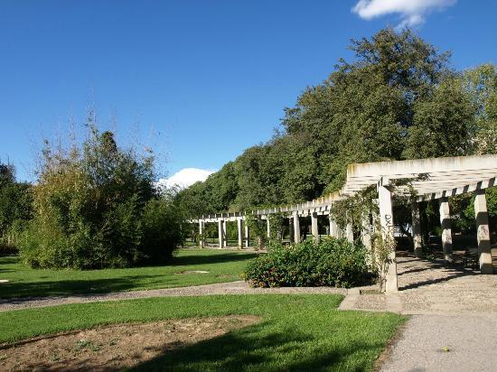 Parque de los Principes