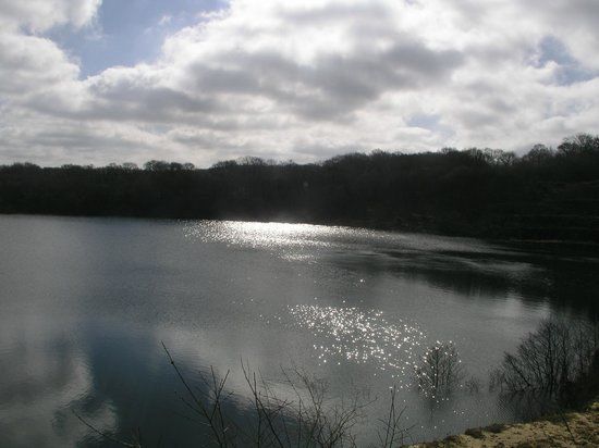 Meeth Quarry Nature Reserve