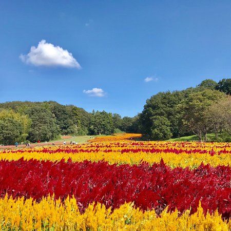 Musashi Kyuryo National Government Park