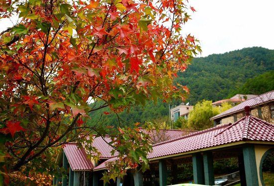 Wuling Forest Recreation Area