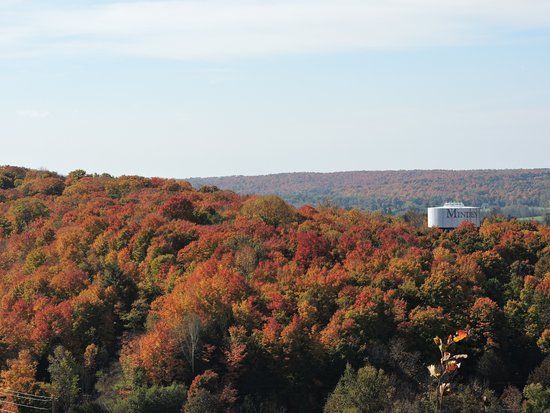 Panorama Park Lookout