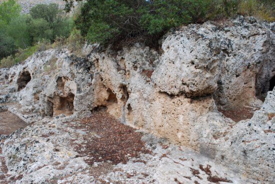 Cuevas de l'Alzinaret