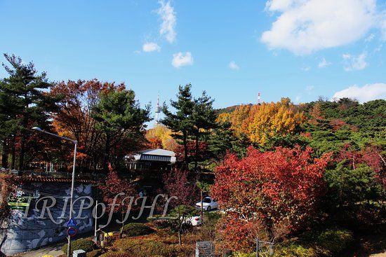 Namsan Botanical Gardens
