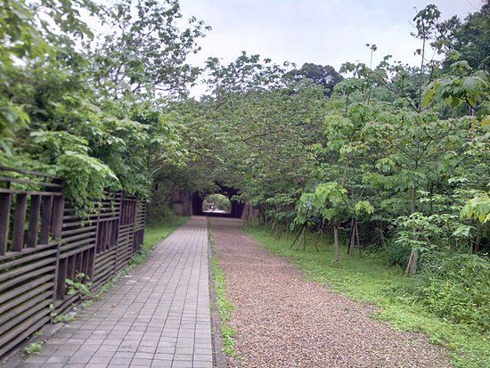 Qi Ding Yi Er Hao Sui Dao