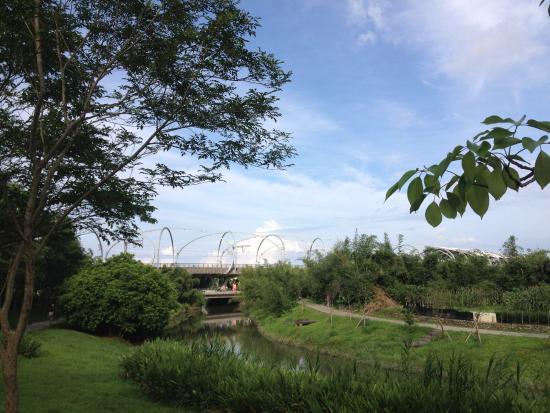 Dongshan River Forest Park