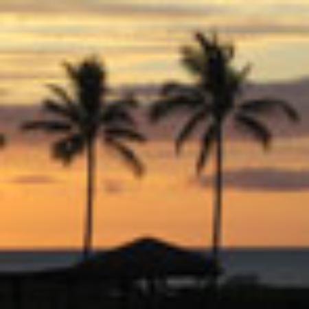 Star House Family Restaurant