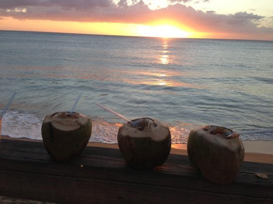 La Ana de Cofresi Restaurant