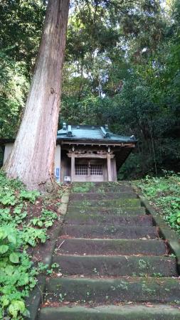 Sumiyoshi Shrine