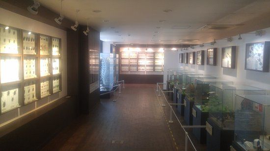 Paju Naby Nara Museum