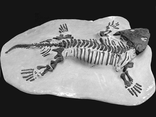 Tulsa Geoscience Center