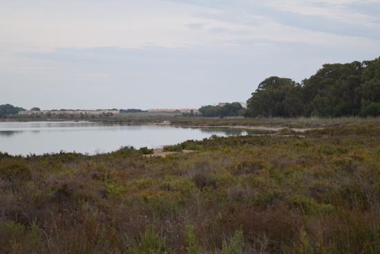 Parque Natural de Torrevieja