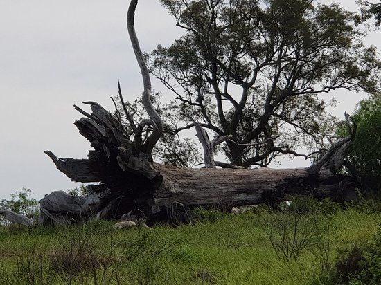Scone Mountain National Park