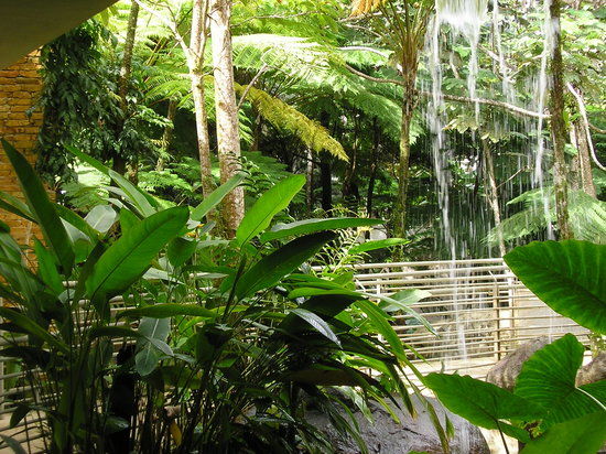 El Portal Tropical Forest Center