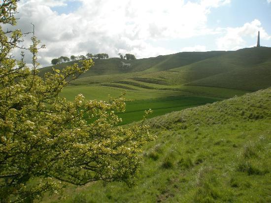 Cherhill White Horse and Monument