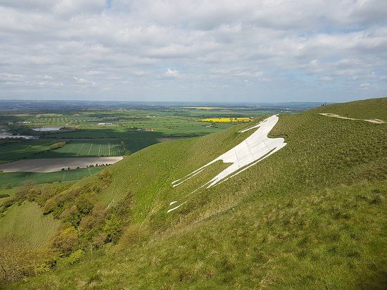 Bratton Camp and White Horse