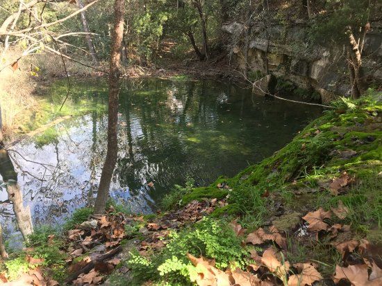 Wild Basin Wilderness Preserve