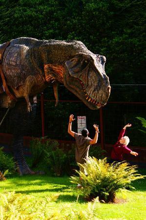 Combe Martin Wildlife and Dinosaur Park