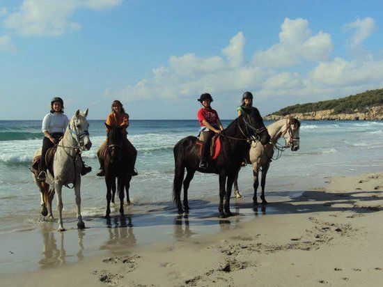 Menorca a Caballo