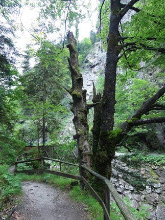 Bummelzug Wildschonau