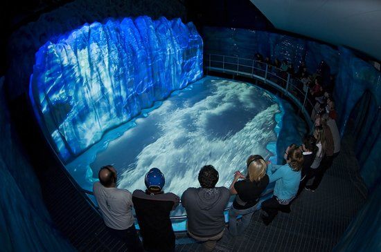 Le Jardin des glaciers