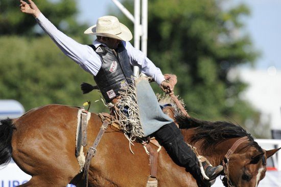 Medicine Hat Exhibition & Stampede