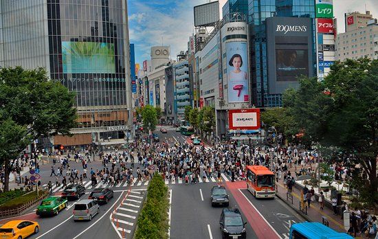 Shibuya Crossing