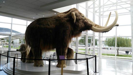 Bicentennial Park Silao