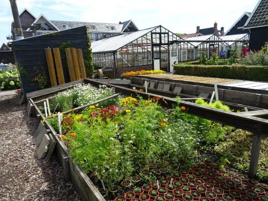 Tuinbouwmuseum Historische Tuin Aalsmeer