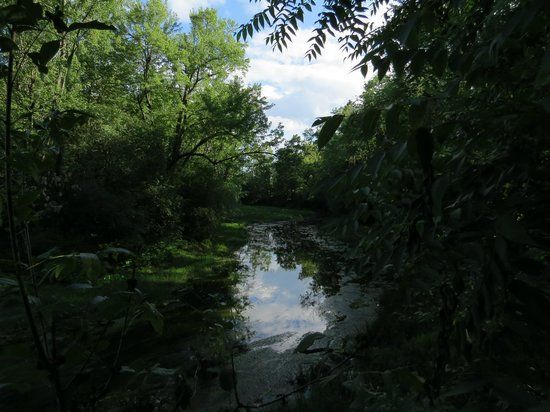 Bois-de-Liesse Nature Park