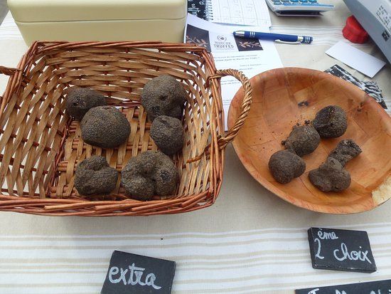 Maison de la Truffe and Tricastin