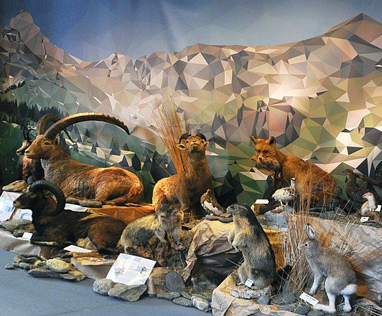 Nature Center Mountaineer