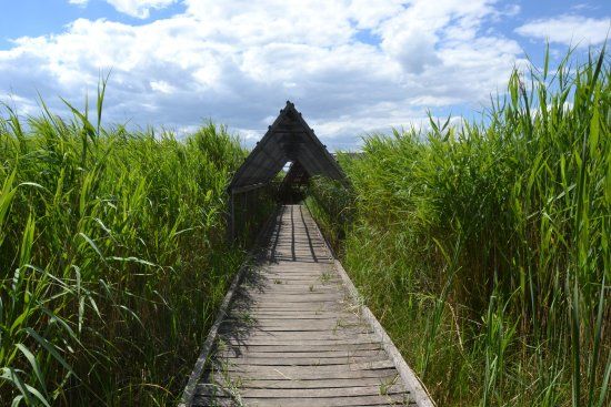 Marshes Nature Reserve Vigueirat