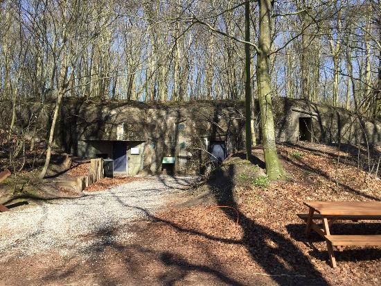 Skanderborg Bunkerne