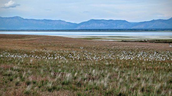 Great Salt Lake State Park